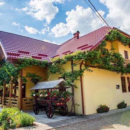 Casa Andreea Hotel ซูเจวิตซา ภายนอก รูปภาพ