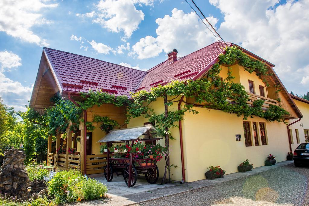 Casa Andreea Hotel ซูเจวิตซา ภายนอก รูปภาพ