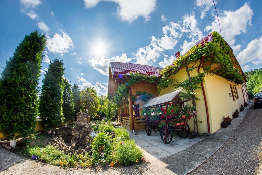 Casa Andreea Hotel ซูเจวิตซา ภายนอก รูปภาพ